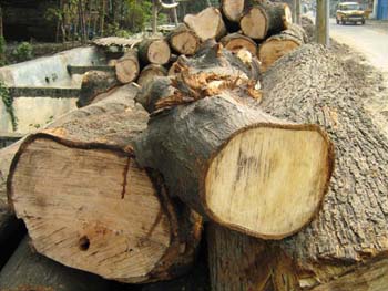 Logs for instruments