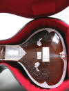 hiren roy half decoration sitar in MMC case