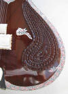 sitar