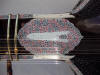 penwork on sitar