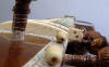 sitar right side down