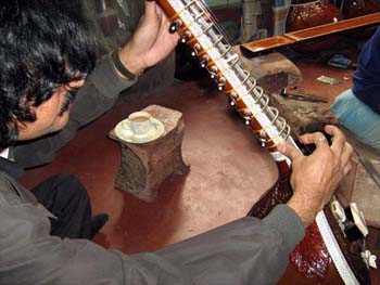 checking srishti sitar