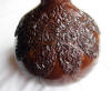 sitar gourd fully carved